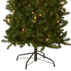 6 ft. Pre-Lit Kingswood Fir Pencil Tree with Clear Lights