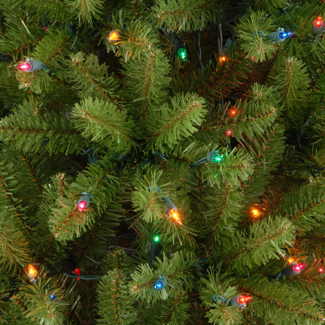 7 ft. Pre-Lit Kingswood Fir Pencil Tree with Multicolor Lights