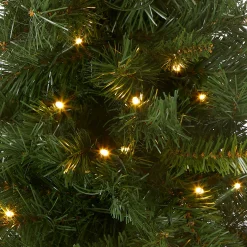 2 ft. Pre-Lit Majestic Fir Tree with LED Lights, Red Base