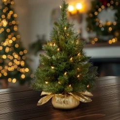 2 ft. Pre-Lit Majestic Fir Tree with Clear Lights, Gold Base