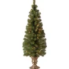 4 ft. Pre-Lit Montclair Spruce Tree with Clear Lights