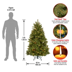 5 ft. Pre-Lit Newberry Spruce Tree with Dual Color LED Lights