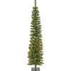 6 ft. Pre-Lit Nooksack Fir Pencil Slim Tree with LED Lights