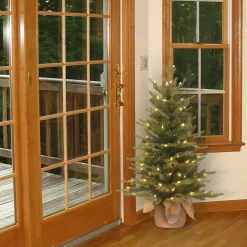 3 ft. Pre-Lit Nordic Spruce Tree with Clear Lights