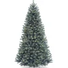 6.5 ft. Pre-Lit North Valley Spruce Blue Tree with Clear Lights