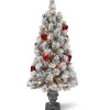 4 ft. Pre-Lit Snowy Bristle Pine Tree with Clear Lights