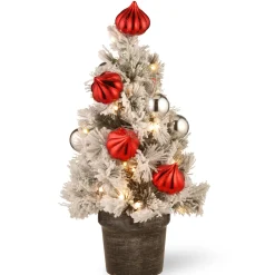 2 ft. Pre-Lit Snowy Bristle Pine Tree with LED Lights