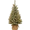 3 ft. Pre-Lit Snowy Concolor Fir Tree with LED Lights