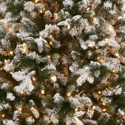6.5 ft. Pre-Lit Snowy Everest Fir Medium Tree with Clear Lights