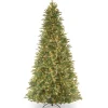 12 ft. Pre-Lit Tiffany Fir Slim Tree with Clear Lights