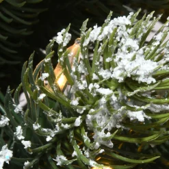 4.5 ft. Pre-Lit Trinity Spruce Tree with LED Lights