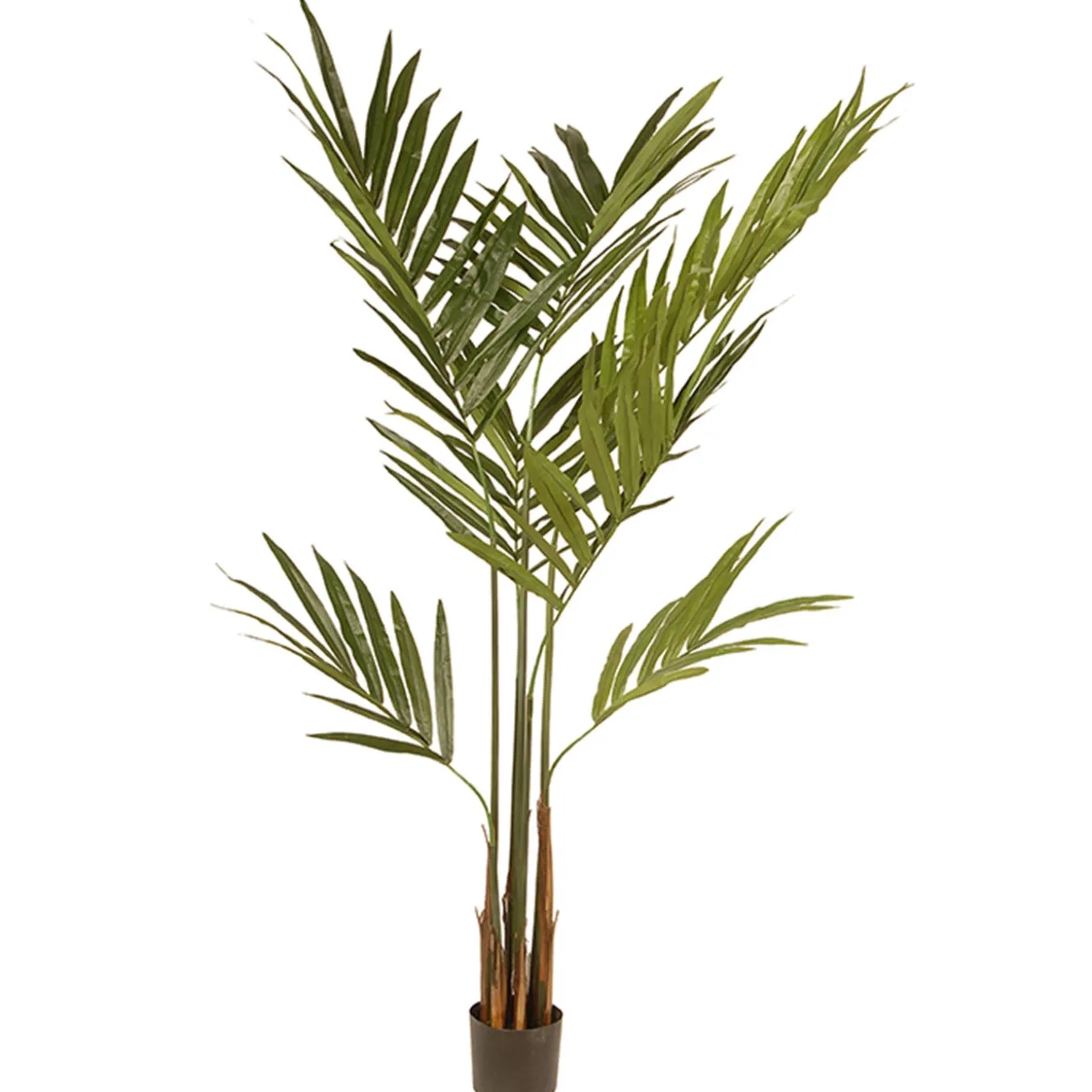 4 ft. Spring Kentia Palm Potted Tree with Leaves, Simulated Soil in a Black Pot