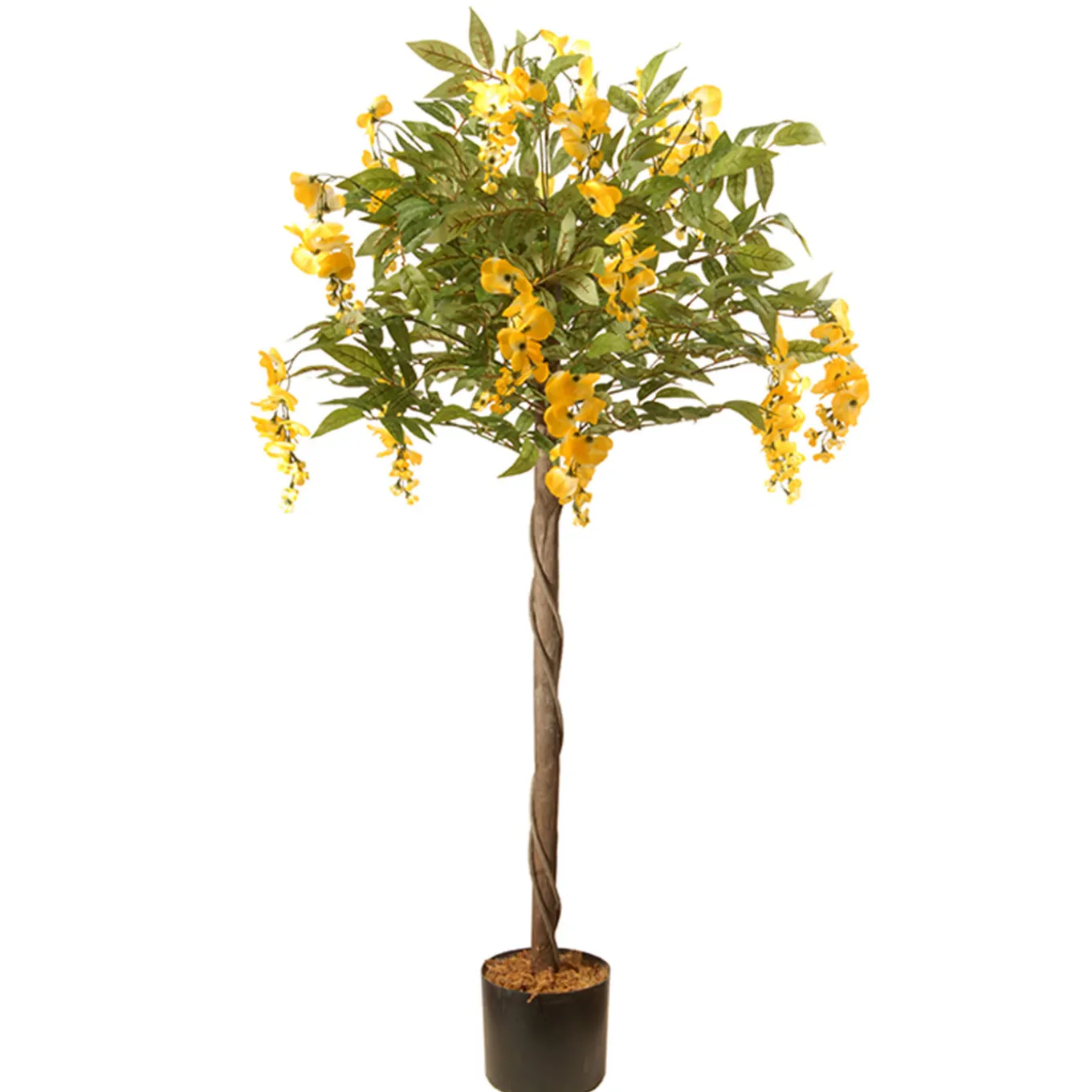4 ft. Spring Wisteria Potted Tree with Yellow Flower Blooms in a Black Pot Base