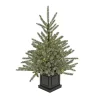 4 ft.Pre-Lit Aberdeen Blue Spruce Tree