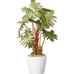 21 in. Spring Potted Philodendron Plant Decoration Garden Accents in Ceramic Pot
