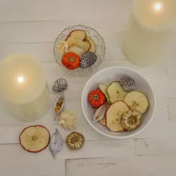 6 in. 250 Gram Mixed Potpourri- Sliced Apples and White Washed Cones