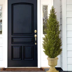 60 in. Arborvitae Topiary Tree in Decorative Urn