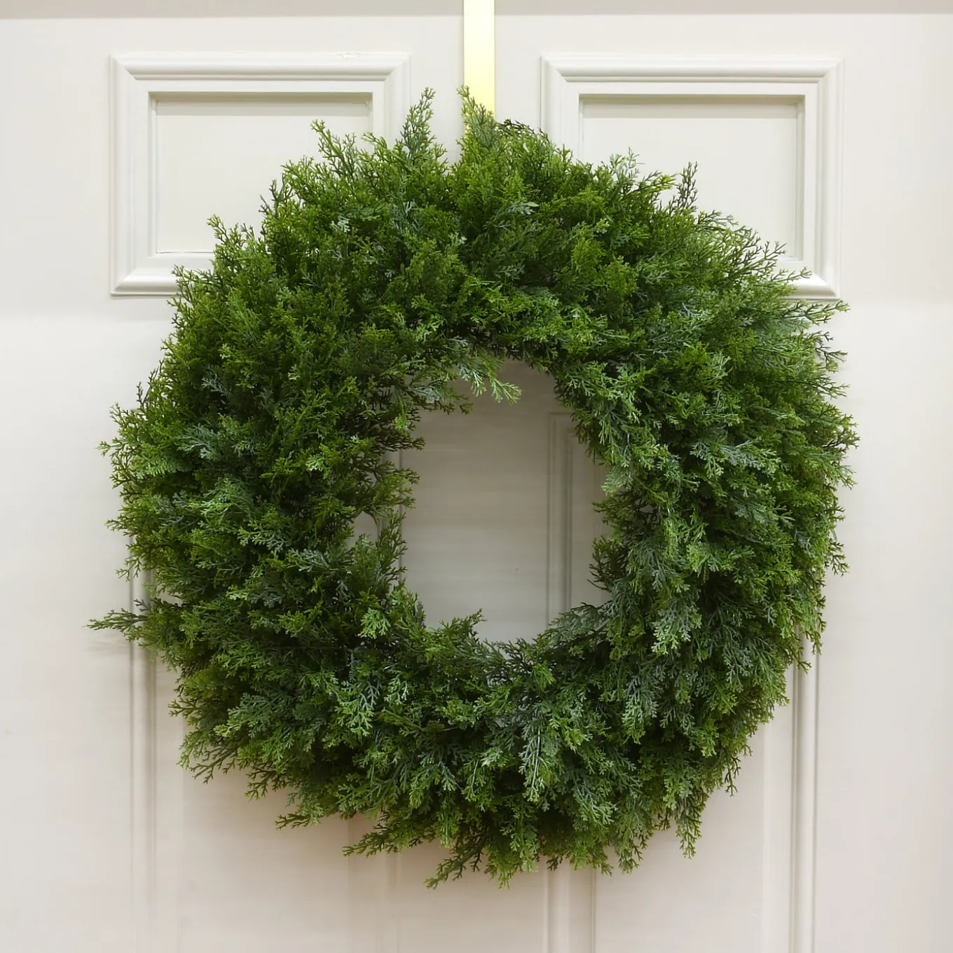 24 in. Arborvitae Wreath