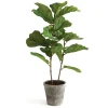 43 in. Fiddle Leaf Fig Topiary Tree