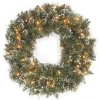 24 in. Glittery Bristle Pine Wreath with Clear Lights