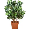 30 in. Hosta Topiary Plant in Brown Round Growers Pot