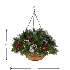 20 in. Pre-Lit Frosted Berry Hanging Basket with LED Lights