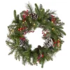 24 in. Pre-Lit Bristle Berry Wreath with LED Lights