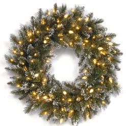 24 in. Pre-Lit Glittery Bristle Pine Wreath with Warm White LED Lights