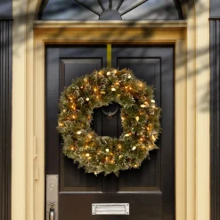 24 in. Pre-Lit Glittery Bristle Pine Wreath with Warm White LED Lights