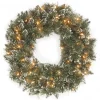 24 in. Pre-Lit Glittery Bristle Pine Wreath with LED Lights