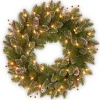 24 in. Pre-Lit Glittery Mountain Spruce with LED Lights