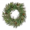 28 in. Pre-Lit HGTV Home Collection Black Tie Cedar Wreath