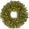 24 in. Pre-Lit Norwood Fir Wreath with Twinkly LED Lights