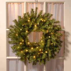 24 in. Pre-Lit Norwood Fir Wreath with Twinkly LED Lights