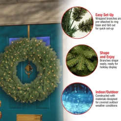 36 in. Pre-Lit Norwood Fir Wreath with Clear Lights