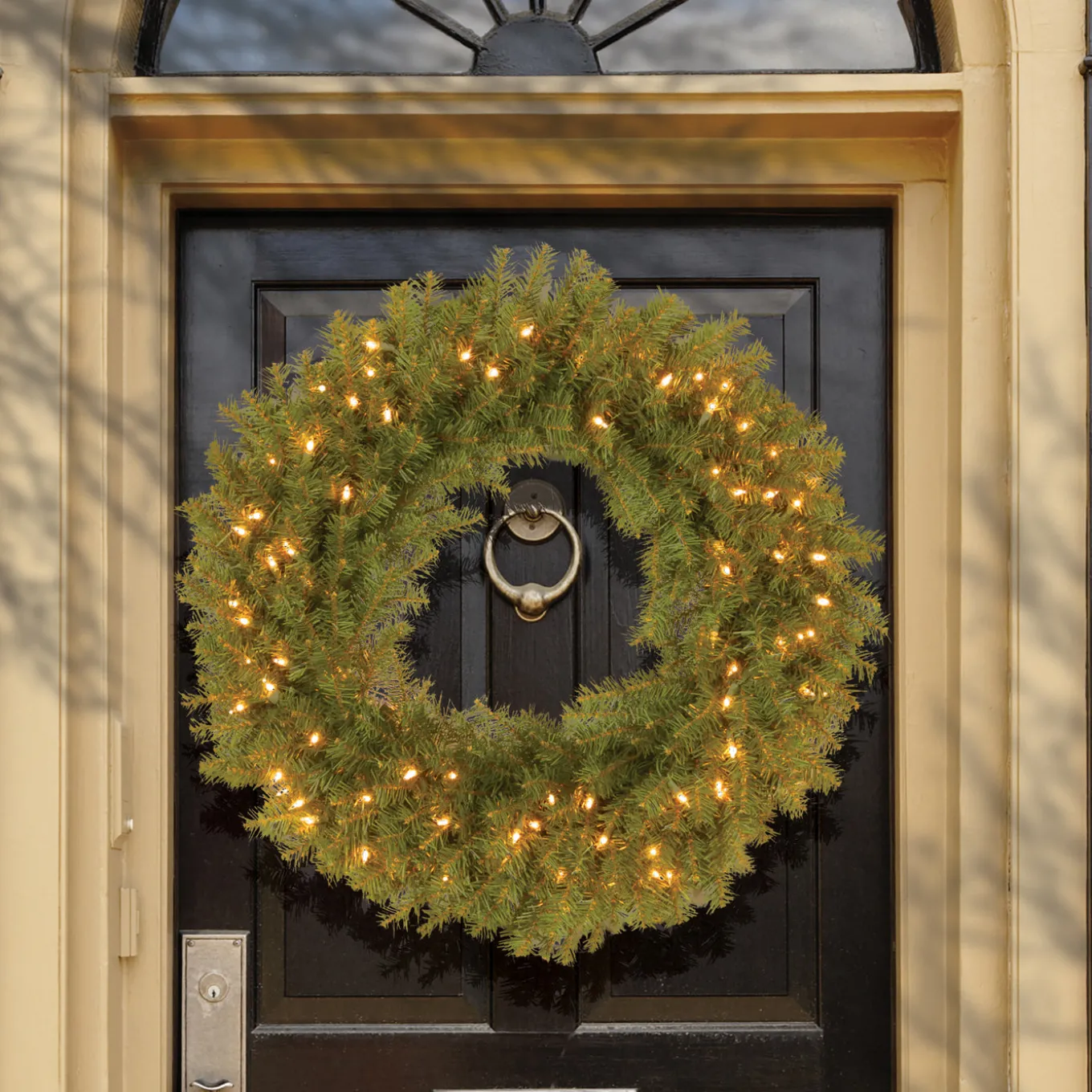 30 in. Pre-Lit Norwood Fir Wreath with Twinkly LED Lights