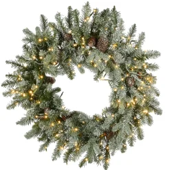 24 in. Pre-Lit Snowy Morgan Spruce Wreath with Dual Color LED Lights