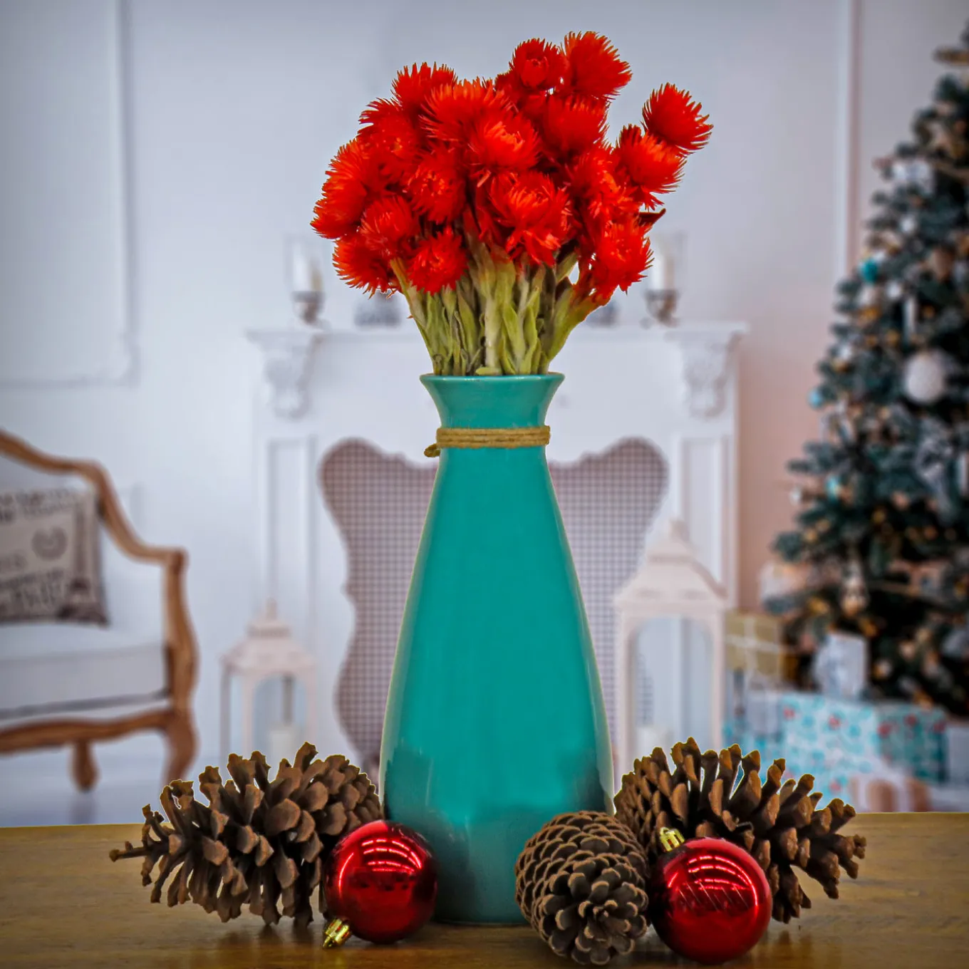 16 in. Spring Dried Red Capeblumen Flowers Bouquet