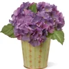 11 in. Spring Garden Accents Hydrangea Flowers in Tin Pot