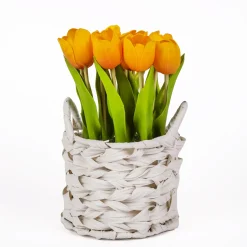 10 in. Spring Orange Tulip Bouquet in White Basket