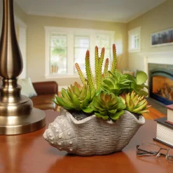 11 in. Spring Potted Plant with Various Green and Orange Succulents in a Stylish Conch Shell Cement Pot
