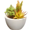 8 in. Spring Potted Plant with Various Green Succulents in a Stylish White Ceramic Base