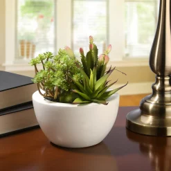 8 in. Spring Potted Plant with Various Green Succulents in a Stylish White Ceramic Base