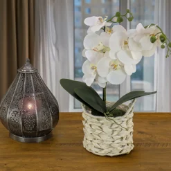 21 in. Spring White Orchid in White Basket