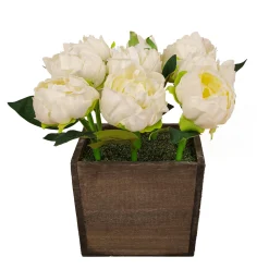 10 in. Spring White Peony Flowers in Wood Box