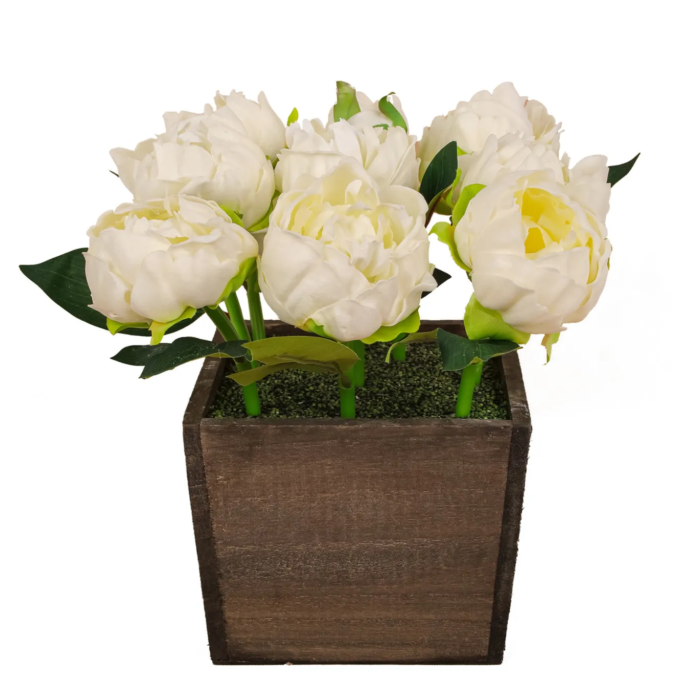 10 in. Spring White Peony Flowers in Wood Box