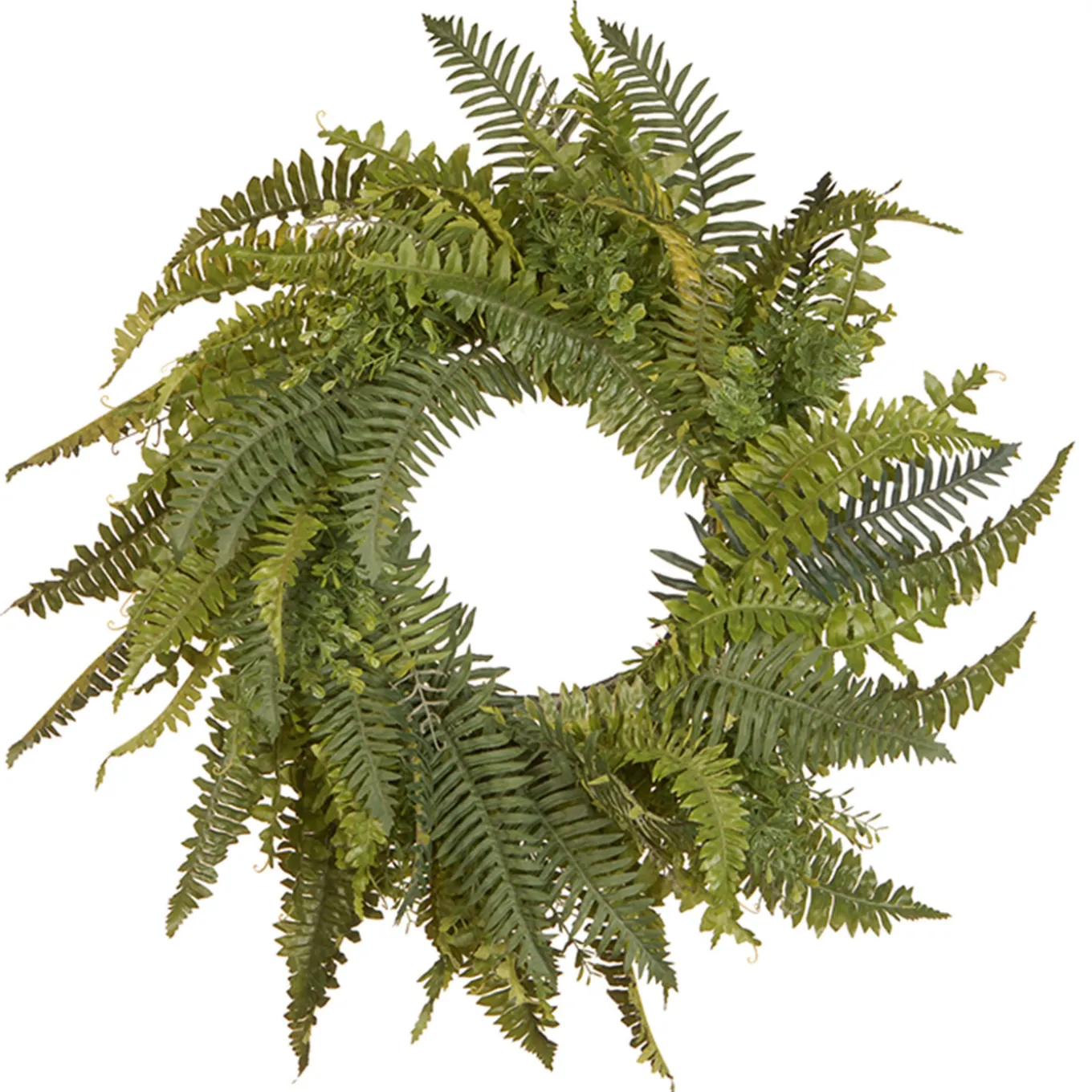 36 in. Spring Wreath with Fern Leaves and Flowing Green Stems
