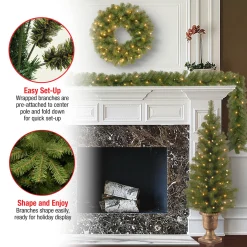 Pre-Lit Evergreen Assortment Set of 2 Entrance Trees, 1 Wreath, 1 Garland