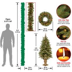 Pre-Lit Frosted Berry Assortment with 2 Entrance Trees, 1 Wreath, 2 Garland