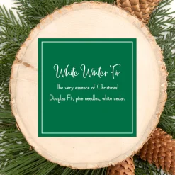 Scented Ornaments, 2 Pack- 6ct Bottle, White Winter Fir, Fragrance-Infused Paper Sticks